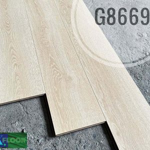 G8669
