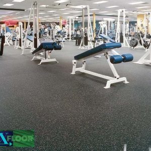 Gạch cao su phòng GYM